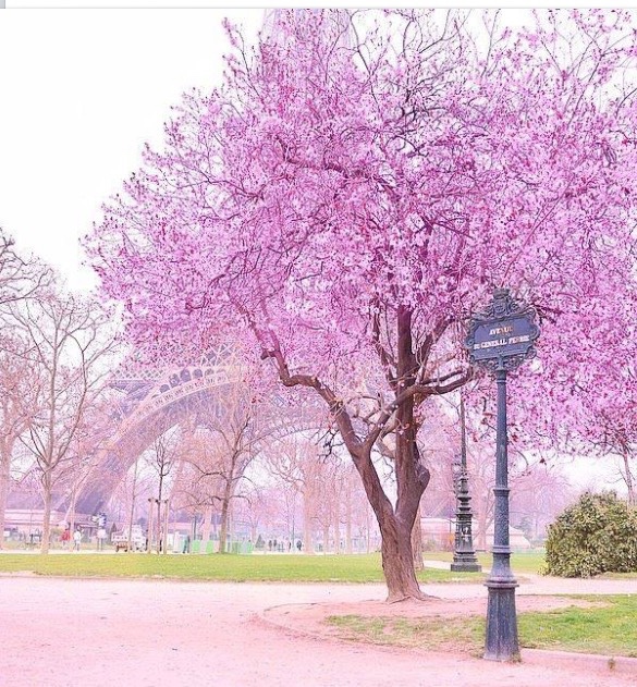 Photo of the user Member 3